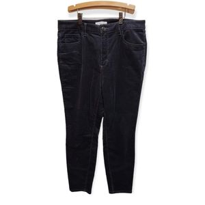 NWT Loft Courderoy Curvy High Wasted Skinny Pants